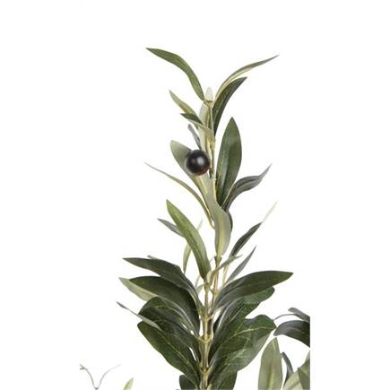 Coco Maison Olive Tree H180cm kunstplant